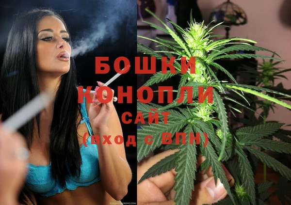 индика Протвино