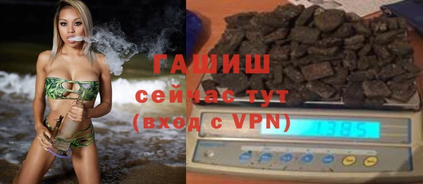 индика Протвино
