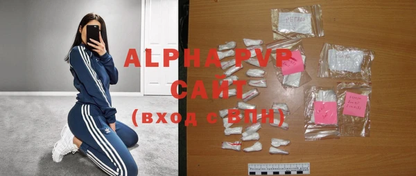 индика Протвино