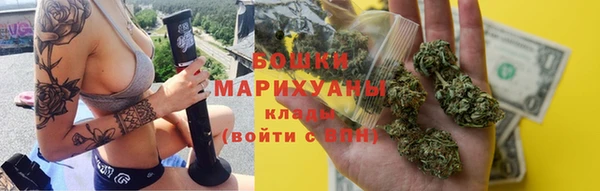индика Протвино