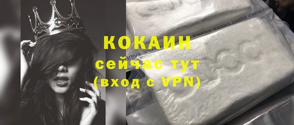 индика Протвино