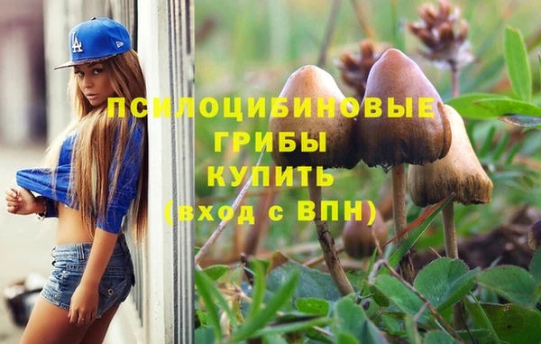 гашишное масло Приозерск