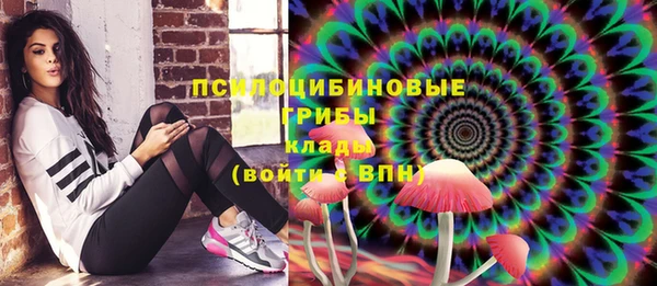 индика Протвино