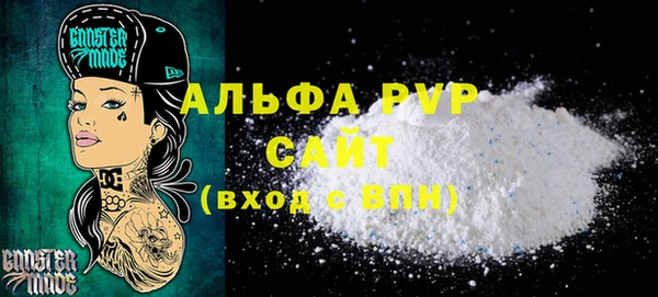 индика Протвино