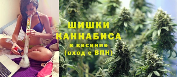 индика Протвино