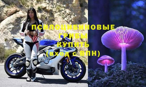 Альфа ПВП Пролетарск