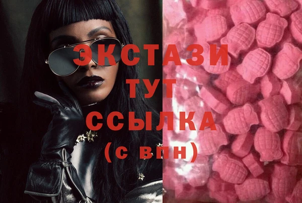 индика Протвино