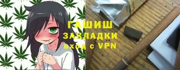 индика Протвино